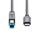 SY-CAB20193 USB Type C to USB 3.1 Standard-B Cable, Black