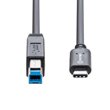 SY-CAB20193 USB Type C to USB 3.1 Standard-B Cable, Black